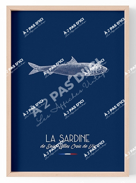 Generaliste - La Sardine - Magnet