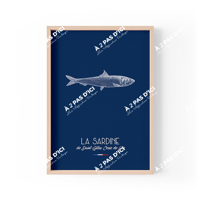 Generaliste - La sardine - Carte postale